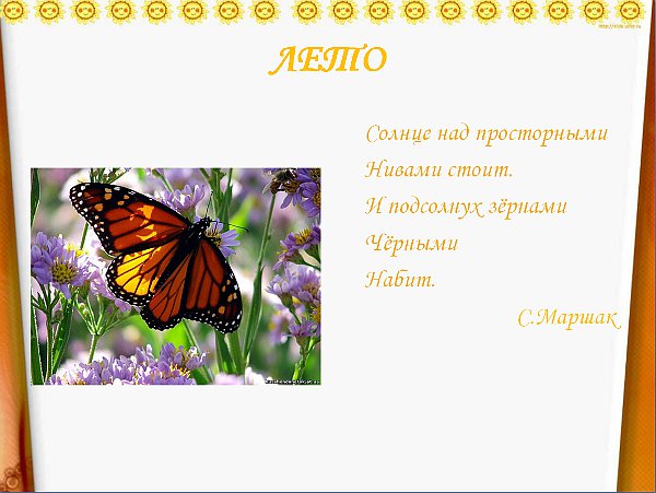 лето.jpg