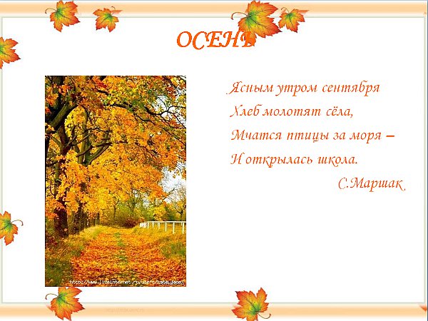 осень.jpg