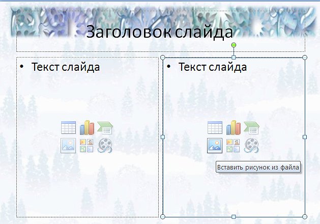 ris4.jpg