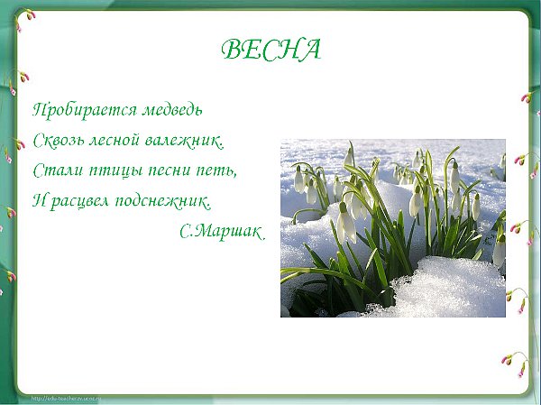весна.jpg