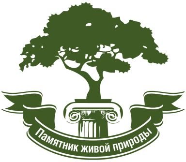 5560.jpg