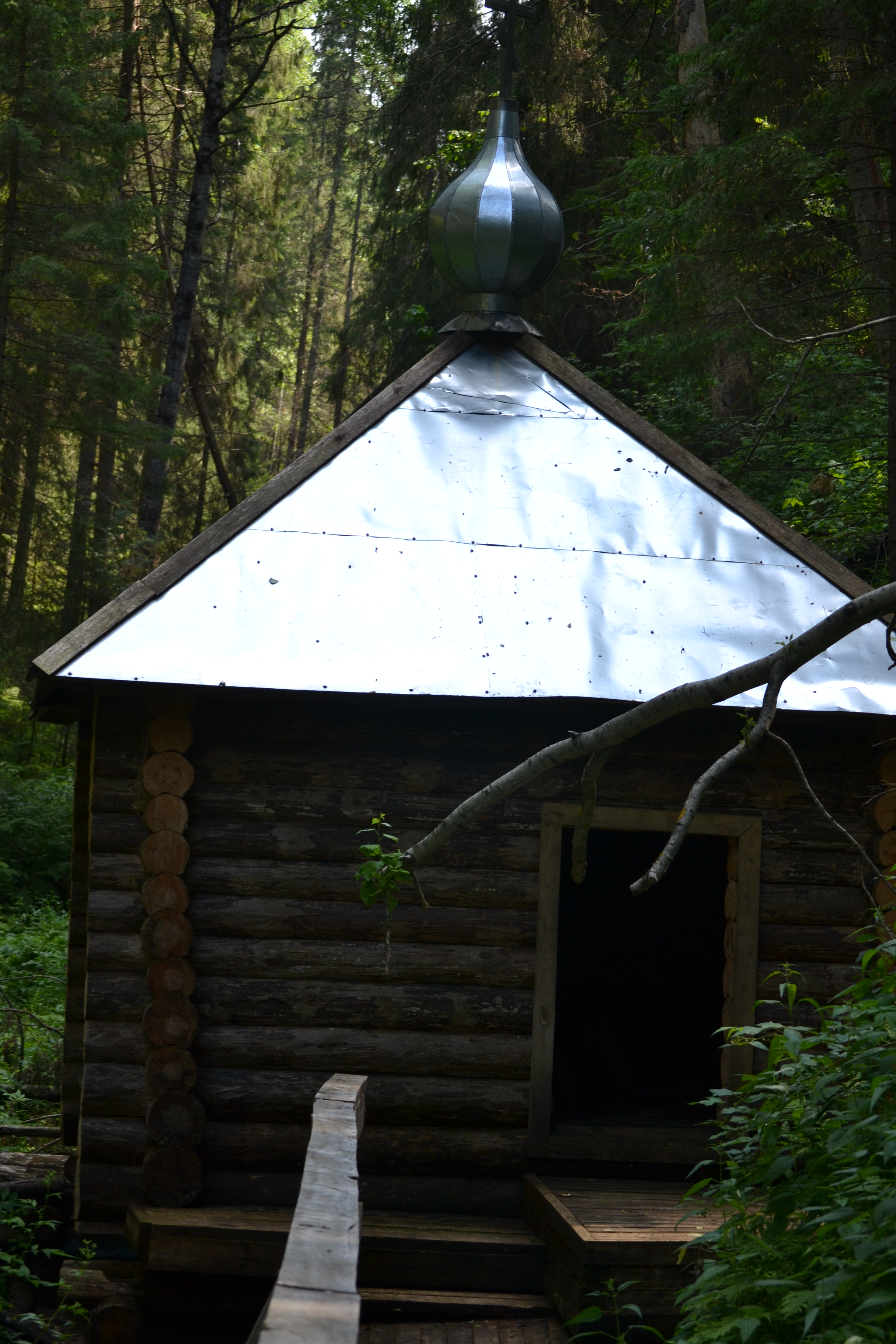 dsc_0391.jpg